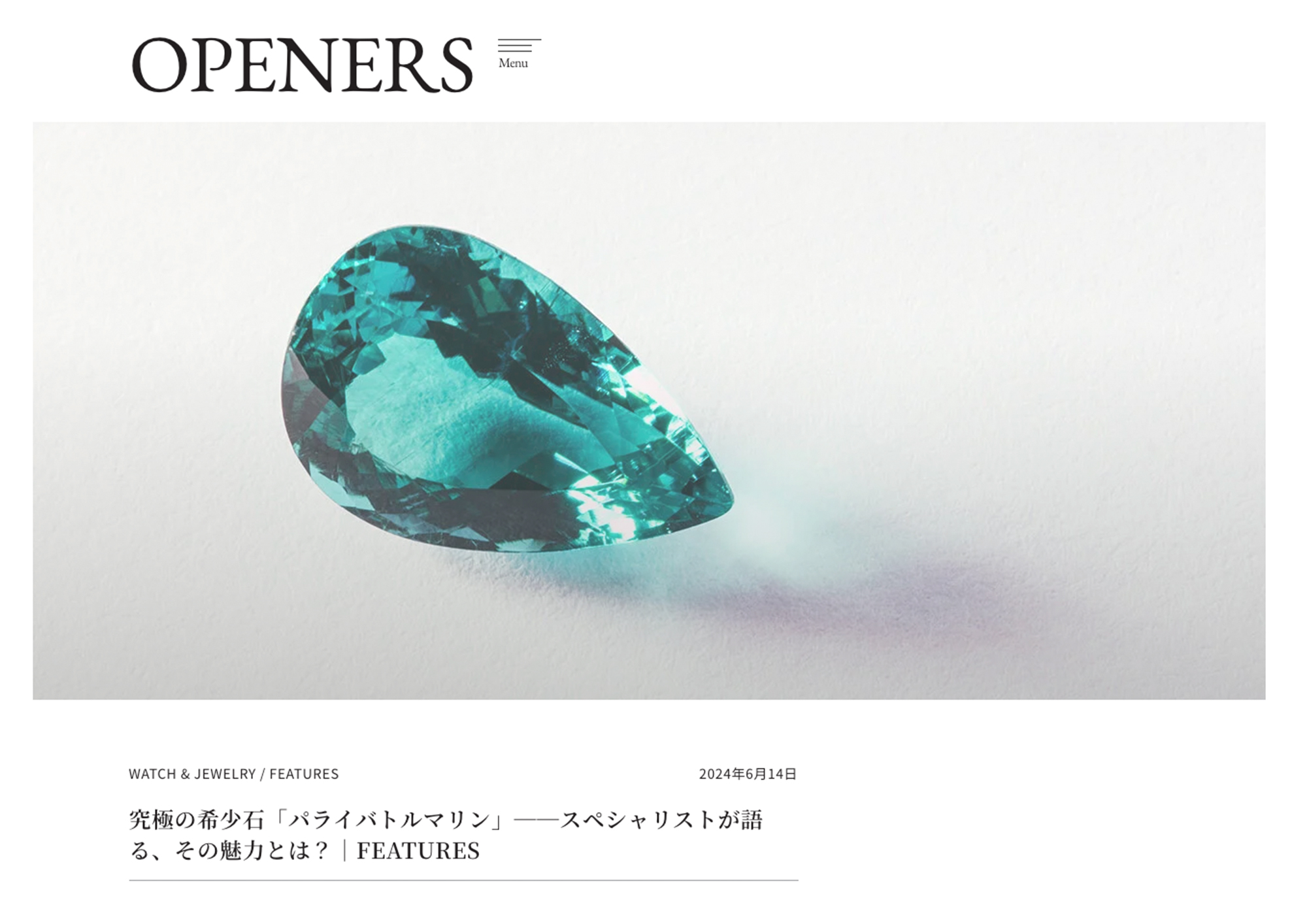 ウェブマガジン OPENERS にて弊社のパートナーであるヌールジェムジャパンの CEO、メラジュ・ウディン氏のインタビュー記事が掲載されました。